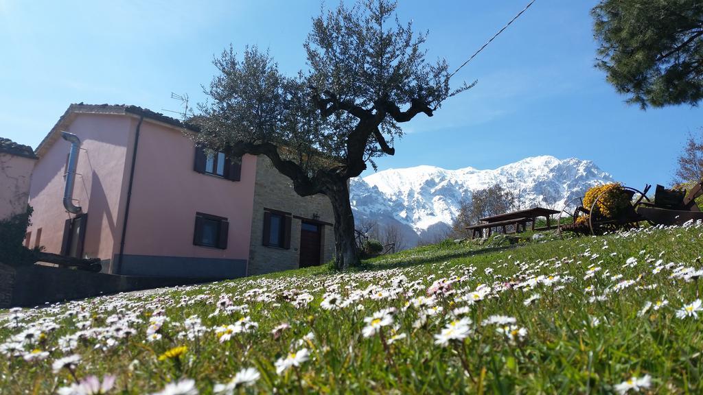 La Via Del Parco Villa Arsita Buitenkant foto